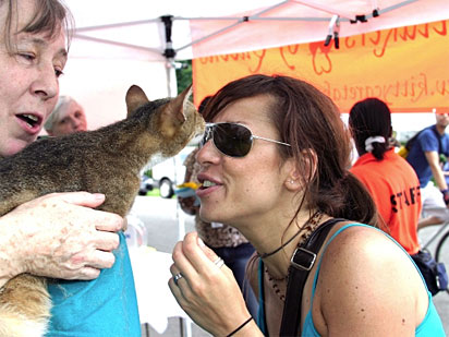adoptapalooza