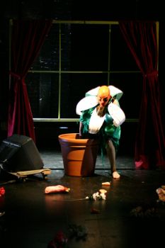 Taylor Mac's multigenre epic begins long run at HERE Arts Center