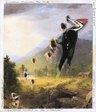 Become a Brooklyn Museum 1stfan for $20 and receive a free limited-edition print of Valerie Hegarty’s “First Harvest in the Wilderness with Pileated Woodpecker,” inspired by Asher Durand