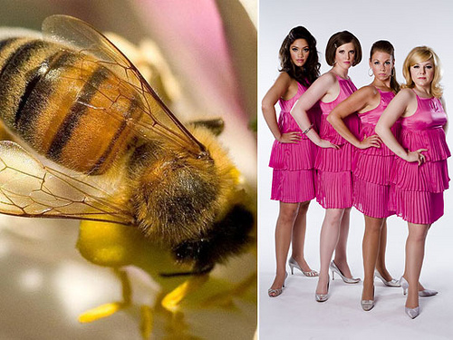 beeday2