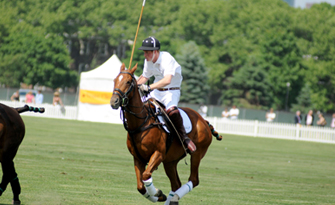 polo classic