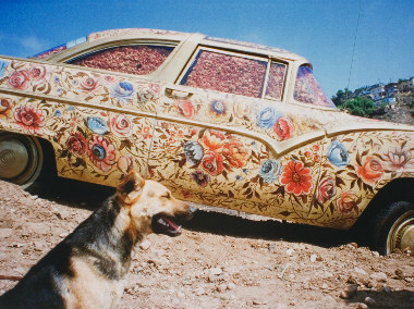 Betsabee Romero, “Ayate con Perro (Ayate fabric with dog),” chromogenic print, 2005 (photo courtesy el Museo del Barrio)