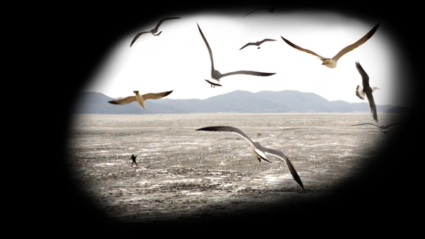 Maija Blåfield’s GOLDEN AGE will be screening at the Moving Image art fair (photo courtesy AV-arkki)