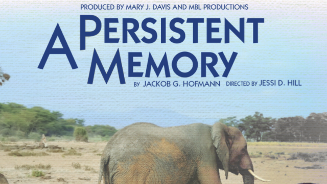 a persistent memory