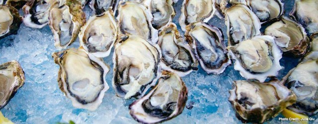 Oysters are on the menu at annual culinary festival featuring bivalve mollusks