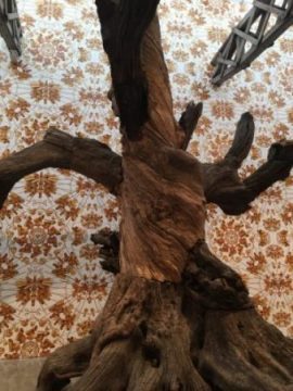 A tree grows in Chelsea at the Lisson Gallery (photo by twi-ny/mdr)