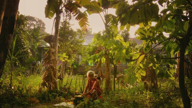 A family searches for answers in THE LOOK OF SILENCE