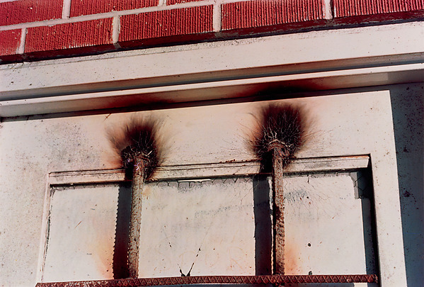 William Eggleston, Memphis, dye-transfer print, ca. 1971–74 (© Eggleston Artistic Trust)