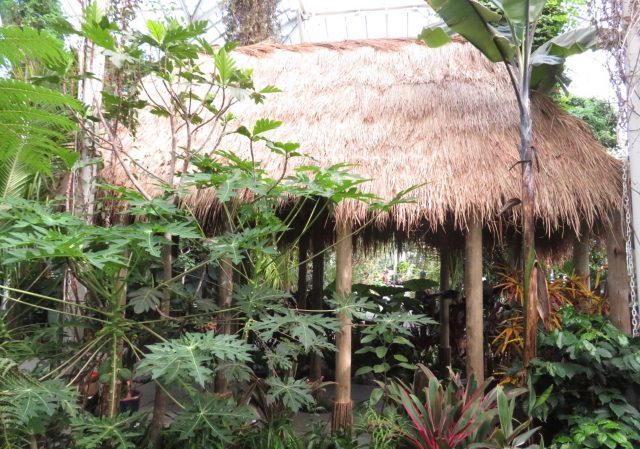 A Hawaiian hale offers a place to gather in center of exhibit (photo by twi-ny/mdr)