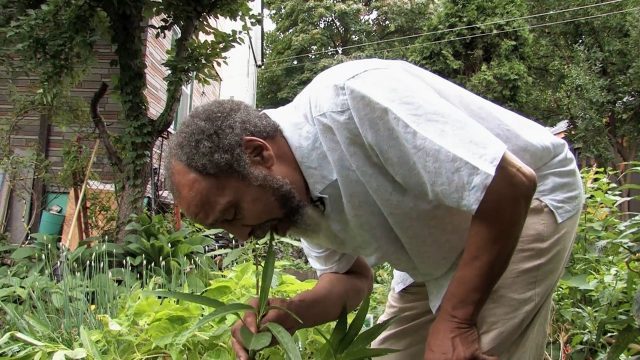 Milford Graves enjoys a bite in his garden in new documentary about the unique percussionist and philosopher