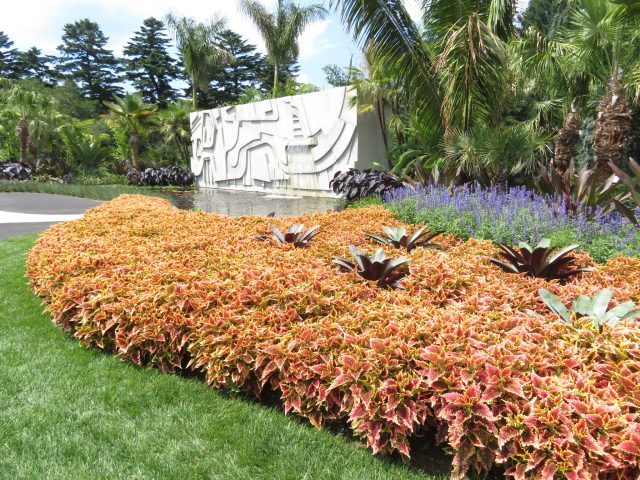 “As far as I’m concerned, there are no ugly plants,” Roberto Burle Marx, “Function of the Garden” lecture (photo by twi-ny/mdr)